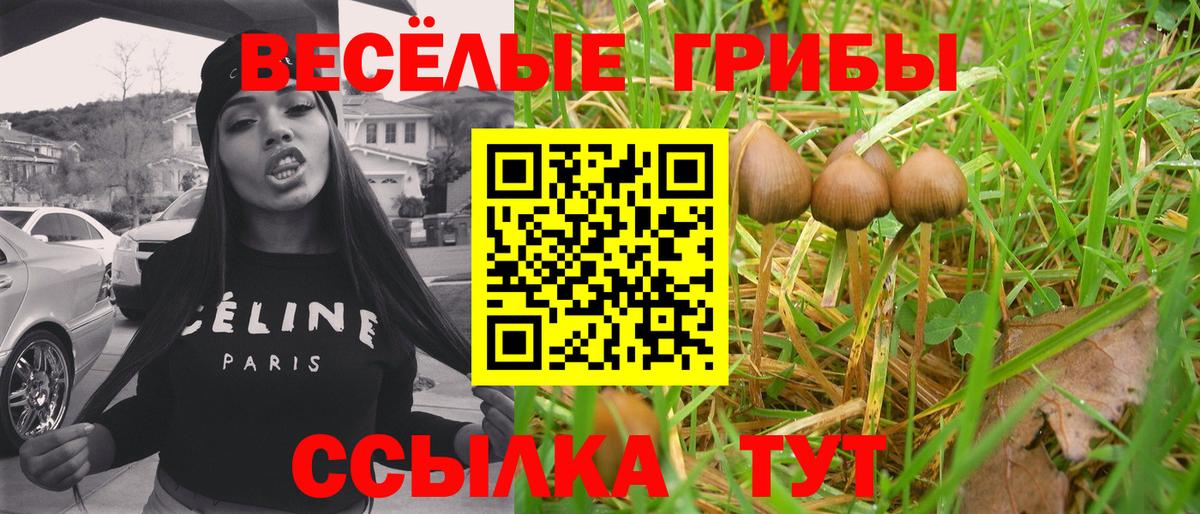 Псилоцибиновые грибы мицелий Королёв