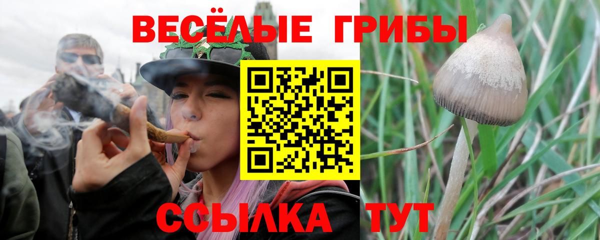 Галлюциногенные грибы Cubensis  Вход с VPN  Королёв  Галлюциногенные грибы MAGIC MUSHROOMS 